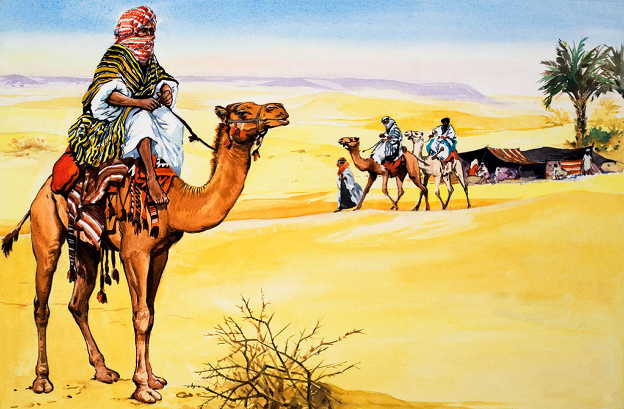 The Camel - Ship of the Desert (Original) art by Animals at The Illustration Art Gallery
