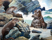 Seal and Sea Otters (Original)