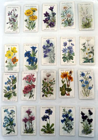 Alpine Flowers  Full set of 50 cards (1913)