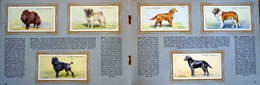 Cigarette cards in album: Set of 50 Dogs (50 cards) 