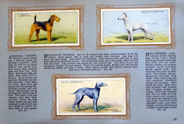 Cigarette cards in album: Set of 50 Dogs (50 cards) 