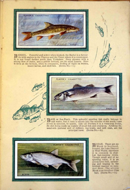 Complete Set of 50 British Fresh-Water Fishes Cigarette cards in album (1933)