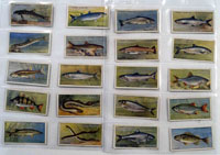 Fresh Water Fishes: Full Set of 50 Cigarette Cards (1934)