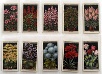 Flower Culture in Pots: Full Set of 50 Cigarette Cards (1925) 