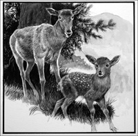 Red Hind Deer and Calf (Original)