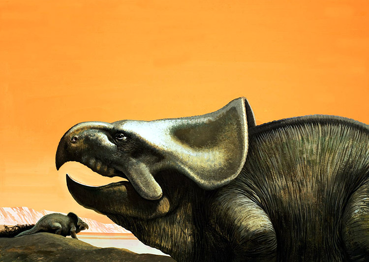 Protoceratops (Original) by Natural History (William Francis Phillipps) at The Illustration Art Gallery