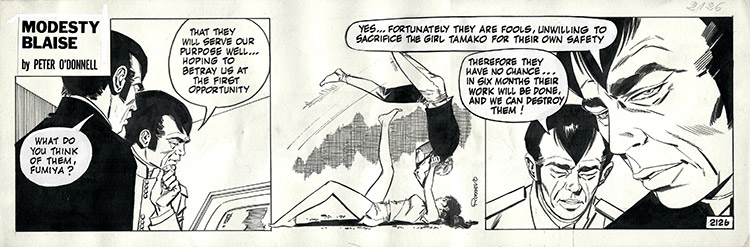 Modesty Blaise strip 2126 - Warlords of Phoenix - Very Early Romero Modesty Blaise strip (Original) (Signed) by Modesty Blaise (Romero) Art at The Illustration Art Gallery