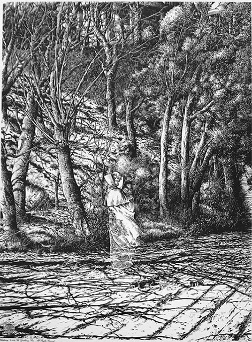 Withering (Limited Edition Print) by Barry Windsor Smith Art at The Illustration Art Gallery